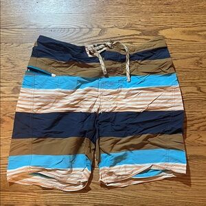 Patagonia Men's Multicolor Striped Board Shorts
